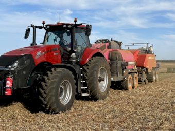 2024 Vetch Hay – High Quality