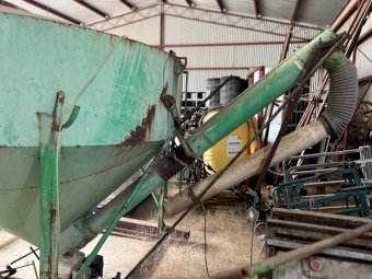 Vennings Grouper Approx. 4MT