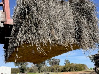 Wheaten Hay Top Bales 550kg 8x4x3 Bales