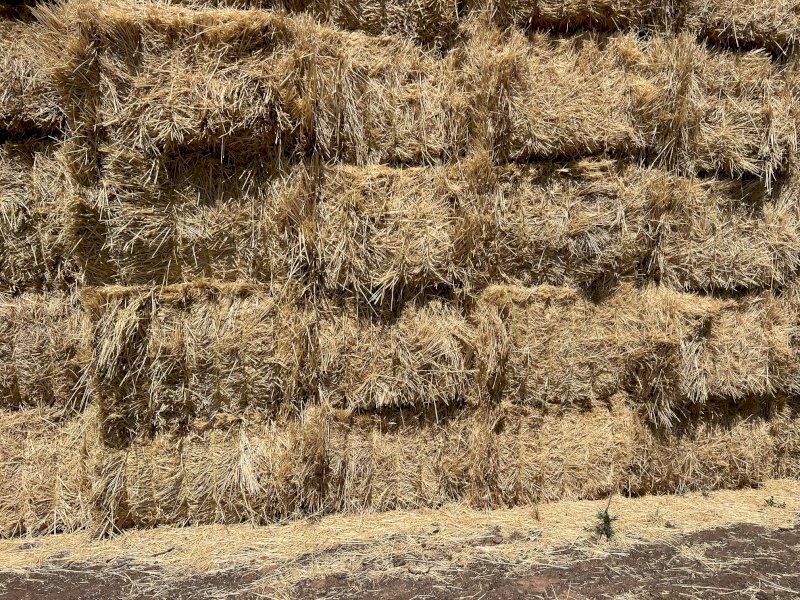 58 Bales Wheaten Hay Bottom Bales