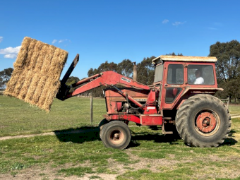 International 766 Tractor