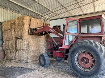 International 766 Tractor