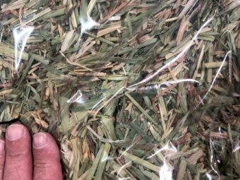 110mt Oaten Hay 680kg 8x4x3 Bales