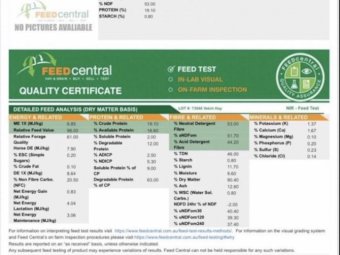 2022 Season Vetch Hay