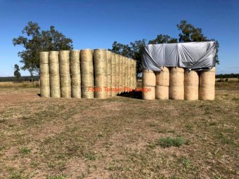 300 mt  Wheaten Hay 24/25 Season Big Squares or Rolls