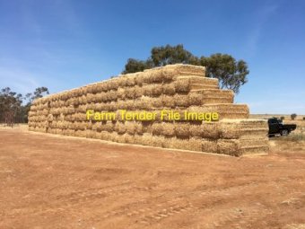 300 mt  Wheaten Hay 24/25 Season Big Squares or Rolls