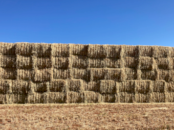 190mt Oaten Hay 634kg 8x4x3 Bales