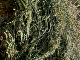 2024 Wheaten Hay Round bales 4x4