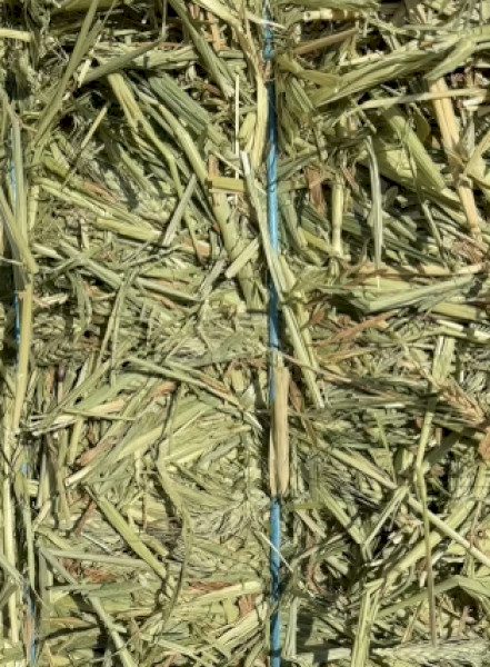 400mt Wheaten Hay 720kg 8x4x3 Bales (New Season 24/25)
