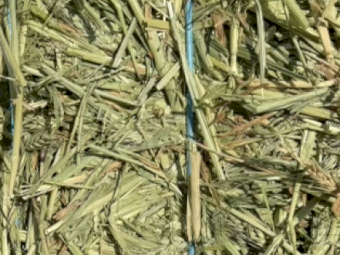 400mt Wheaten Hay 720kg 8x4x3 Bales (New Season 24/25)