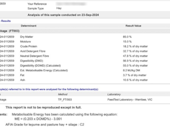 500mt Vetch Hay 680kg 8x4x3 Bales