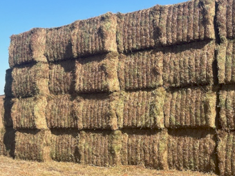 500mt Vetch Hay 680kg 8x4x3 Bales