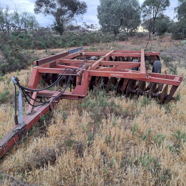 International Blueline 32 Plate Disc