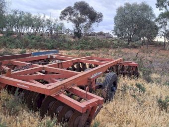 International Blueline 32 Plate Disc