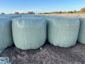 150 X Oaten / Rye / Clover Silage Round Bales