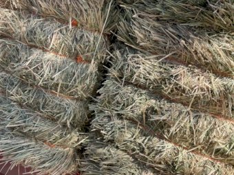 250mt Wheaten Hay 650-700kg Bales