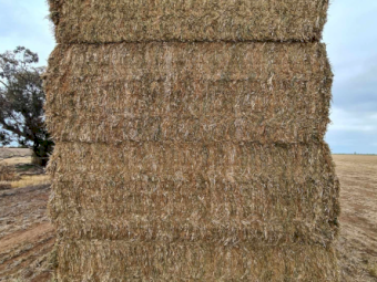 300mt Vetch Hay 8x4x3 Bales (New Season 24/25)