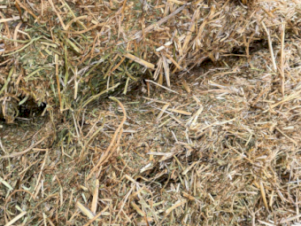 300mt Vetch Hay 8x4x3 Bales (New Season 24/25)