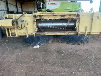 Phillips Canola Front