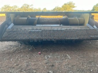 Phillips Canola Front