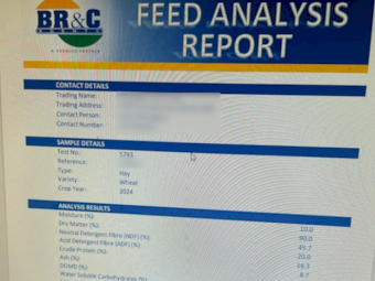 200mt Wheaten Hay 620kg 8x4x3 Bales (New Season 24/25)
