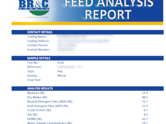 400mt Wheaten Hay 650kg 8x4x3 Bales