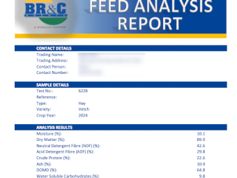 200mt Vetch Hay 650-700kg 8x4x3 Bales (New Season 24/25)
