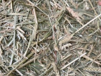 400mt Wheaten Hay 650kg 8x4x3 Bales