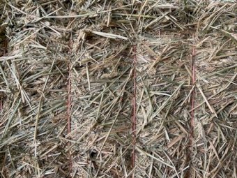 400mt Wheaten Hay 650kg 8x4x3 Bales