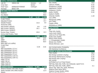 400mt SSS Sorghum Hay