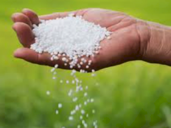 Urea ex Brisbane **$20.00 + GST below market price**