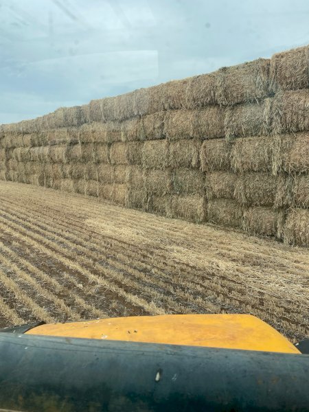 450mt Barley Hay 792kg 8x4x3 Bales (Southern Mallee)