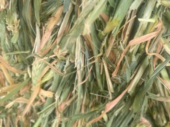 450mt Barley Hay 792kg 8x4x3 Bales (Southern Mallee)