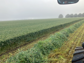 150mt Wheaten Hay 600-650kg 8x4x3 Bales