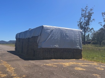 180 x Oaten Hay 8x4x3 Bales
