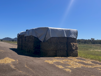 180 x Oaten Hay 8x4x3 Bales