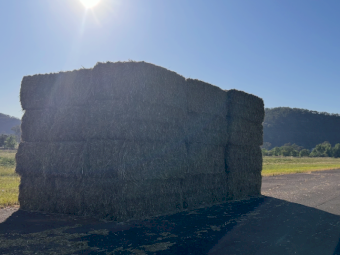 36 x Oaten Hay 8x4x3 Bales