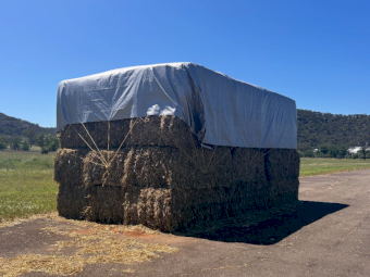 36 x Oaten Hay 8x4x3 Bales