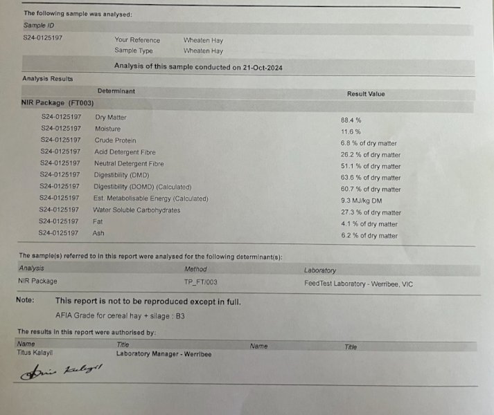 300 mt  Wheaten Hay 24/25 Season Big Squares or Rolls