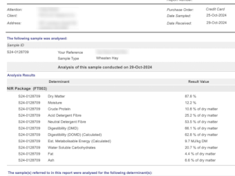 84mt Wheaten Hay 680kg 8x4x3 Bales