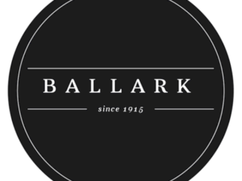 *PRICE REDUCED* Ballark Premium Poll Dorset Rams