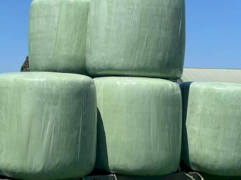 150 x Barley and Oats Silage