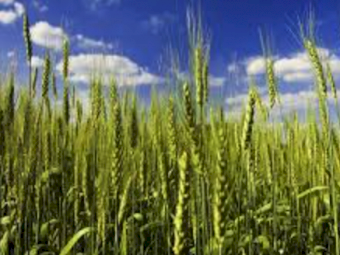 SLAM (SOA) Ex Geelong