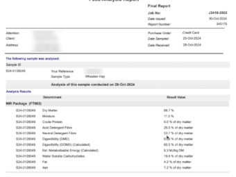 500mt Wheaten Hay 650-700kg 8x4x3 Bales