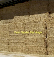 WANTED Barley Straw