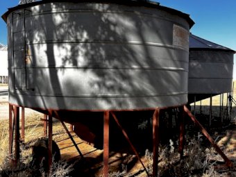 1988 Sherwell field Bin