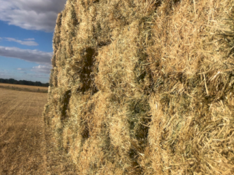 300mt Oaten Rye Hay 650-700kg 8x4x3 Bales