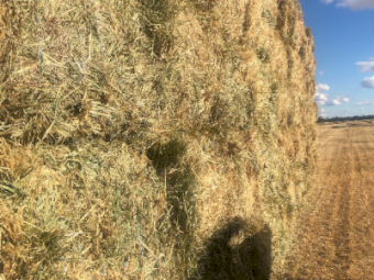 300mt Oaten Rye Hay 650-700kg 8x4x3 Bales