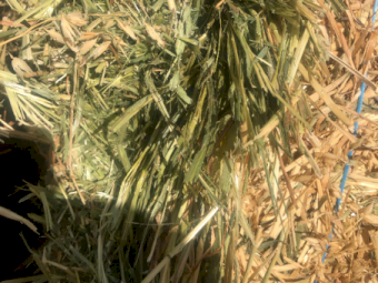 300mt Oaten Rye Hay 650-700kg 8x4x3 Bales