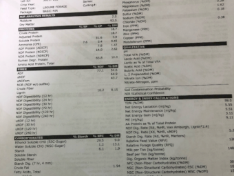 450mt Vetch Hay 650kg 8x4x3 Bales